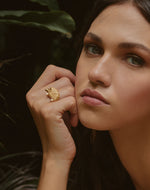 Anillo Puercoespín