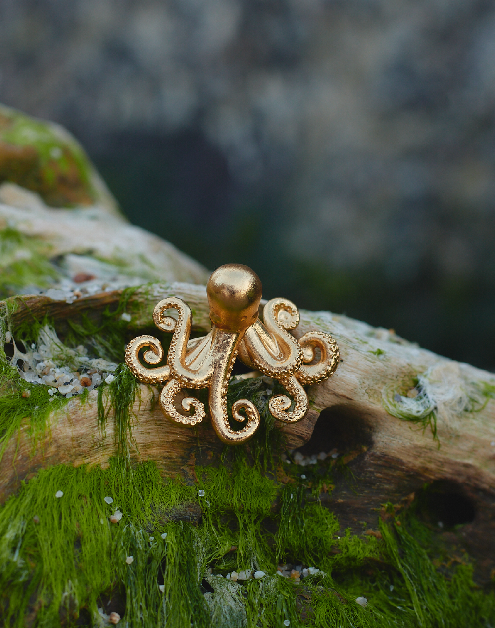 Anillo Pulpo