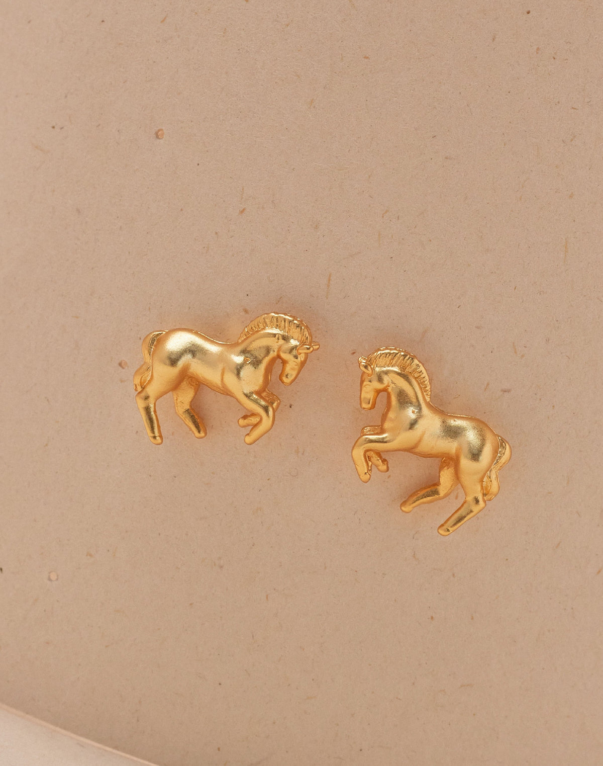 Aretes Caballo