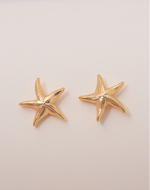 Aretes Estrella de Mar
