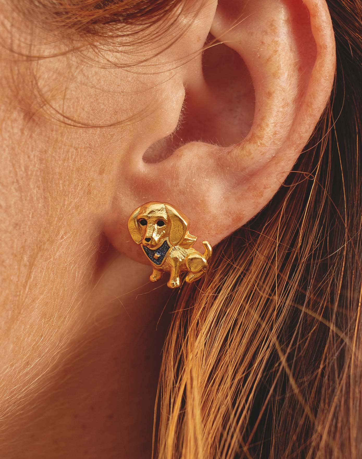 Aretes Perro Salchicha Pañoleta