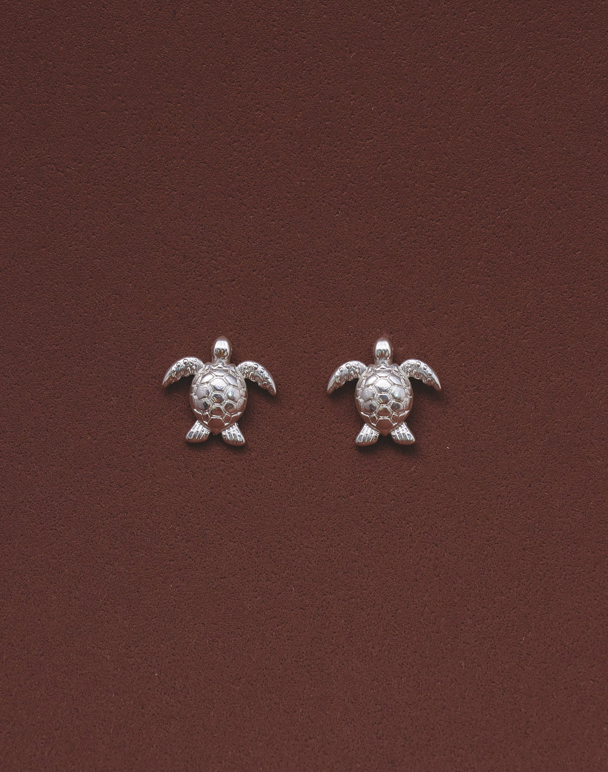 Aretes Tortuga Carey