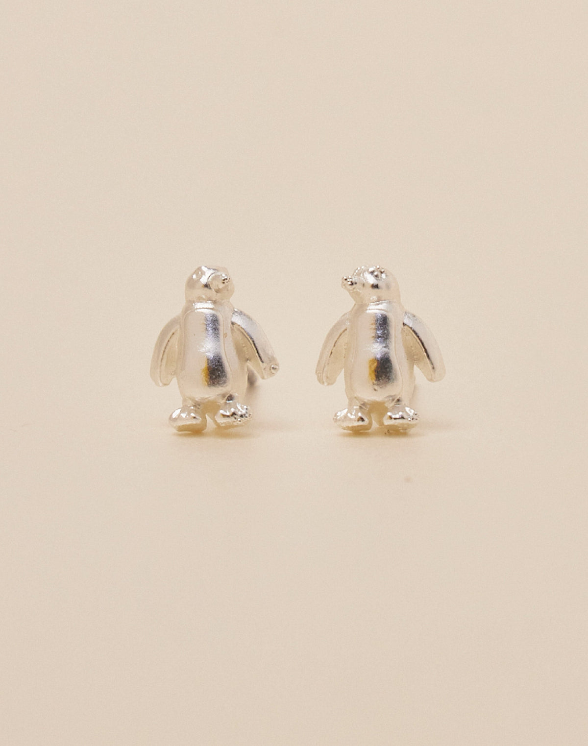 Set de 5 Aretes Boreales