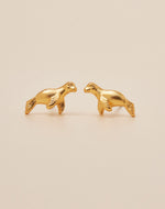 Set de 5 Aretes Boreales