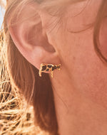 Set de 5 Aretes Farm