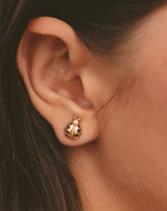 Set de 5 Aretes Florecer