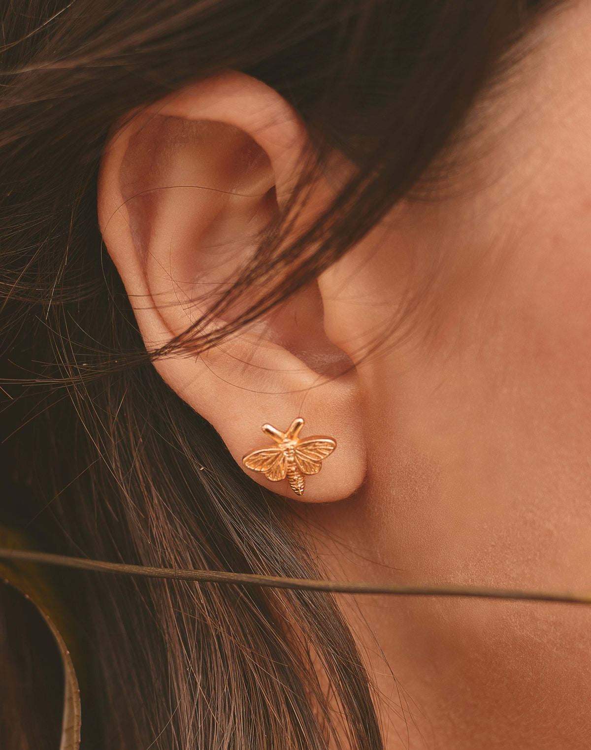 Aretes Mini Polilla