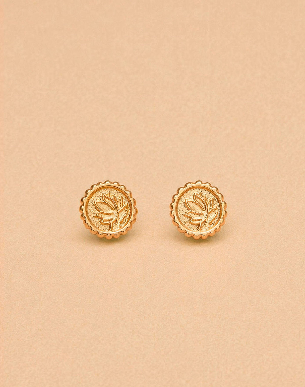Set de Collar + Aretes Elefante Sagrado