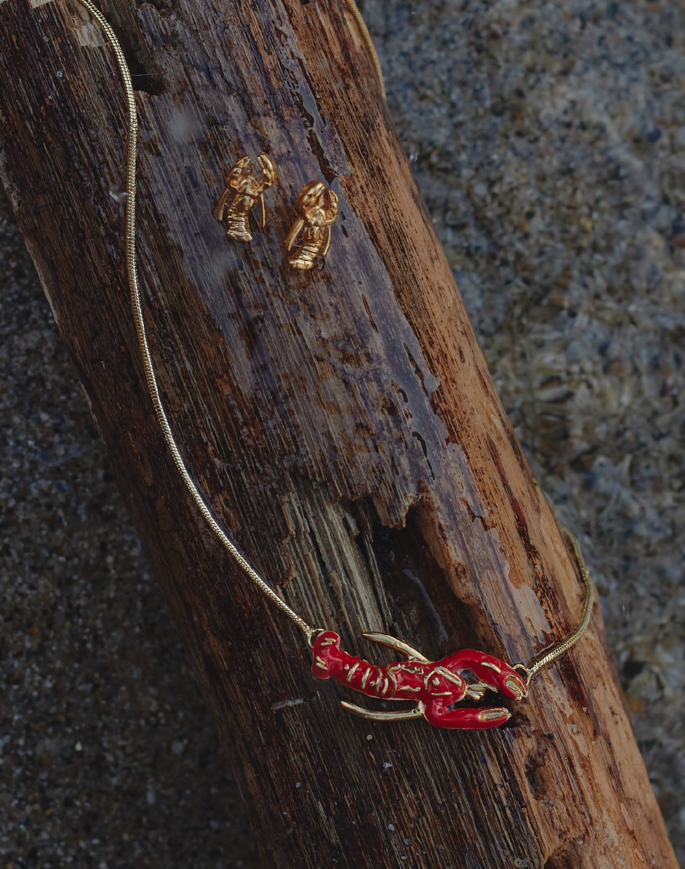 Set de Collar + Aretes Langosta