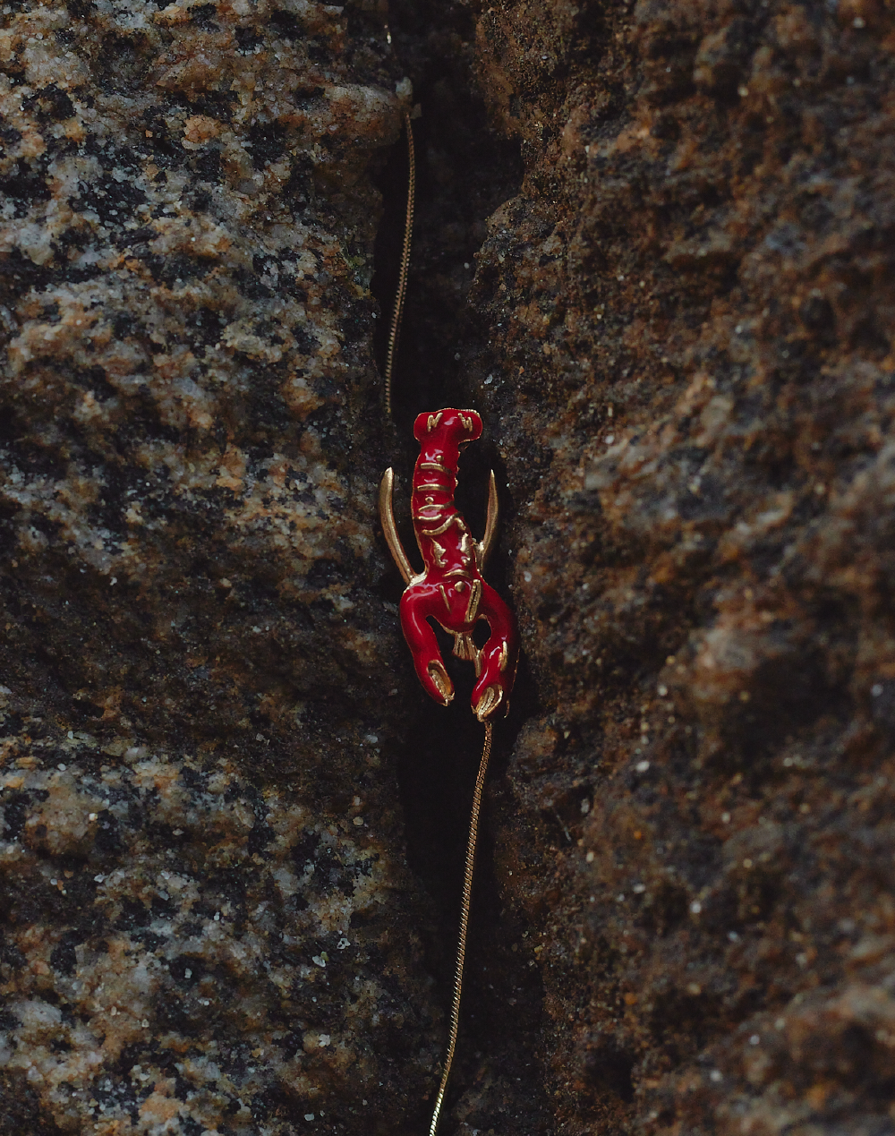 Set de Collar + Aretes Langosta