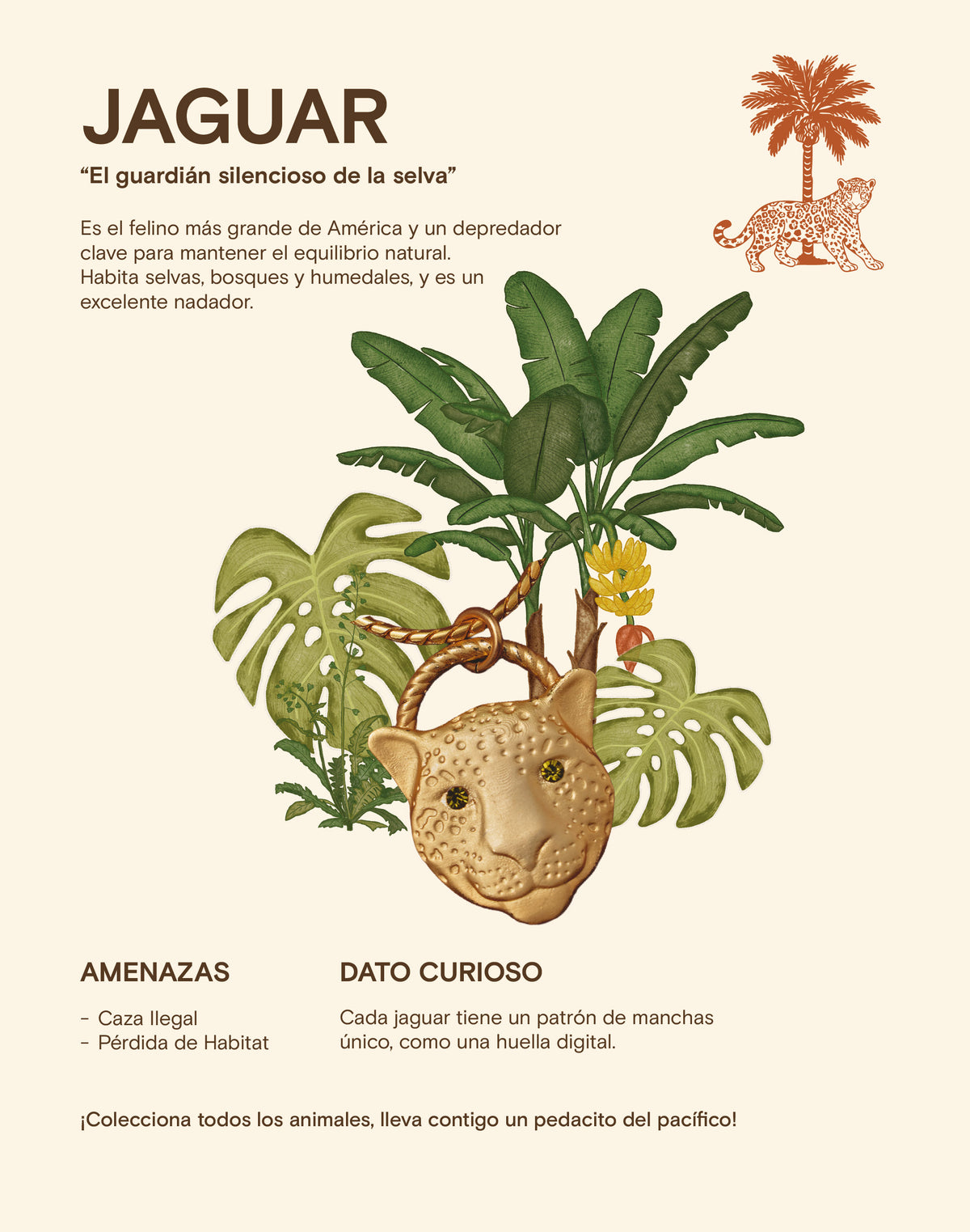 Set de 5 Aretes Mar y Selva