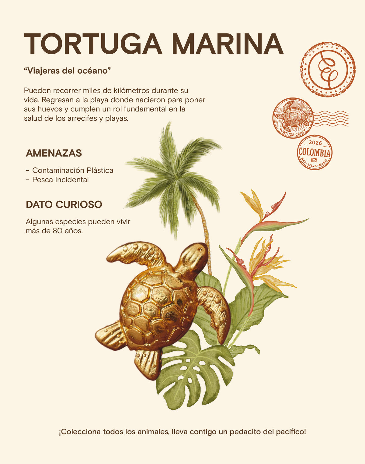 Set de 3 Earcuffs Arena Dorada