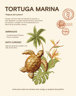 Set de 3 Earcuffs Arena Dorada